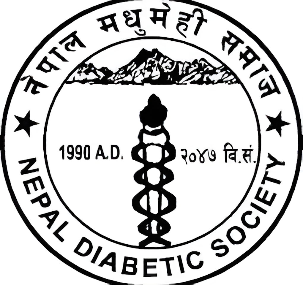 NDS logo
